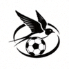 雨燕足球官方Logo - 免费高清足球直播平台标志